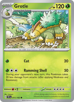 Grotle TEF 011