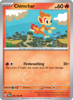 Chimchar TWM 031