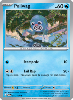Poliwag TWM 041