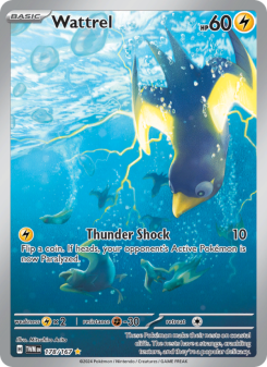 Wattrel TWM 178