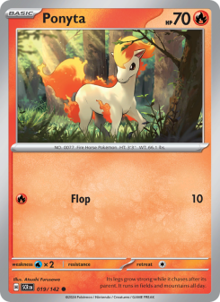 Ponyta SCR 019