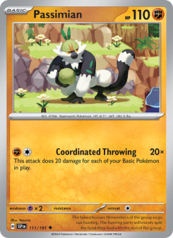 Passimian SSP 111
