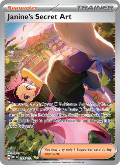 Janine's Secret Art PRE 173