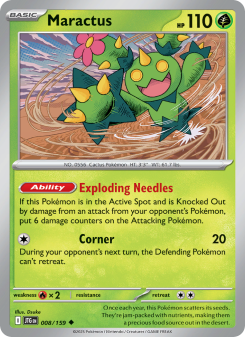 Maractus JTG 008