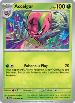 Accelgor JTG 013
