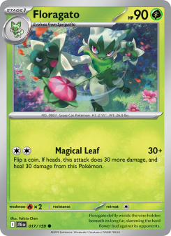 Floragato JTG 017