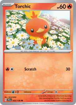 Torchic JTG 022