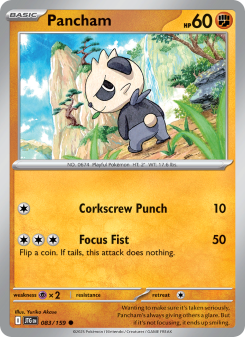 Pancham JTG 083