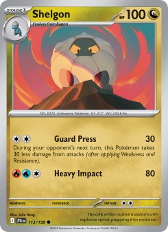 Shelgon JTG 113