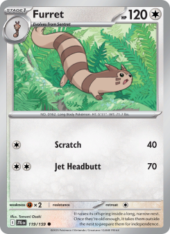 Furret JTG 119