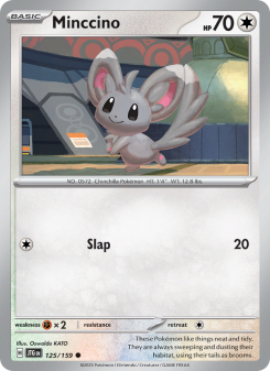 Minccino JTG 125