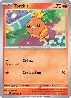 Torchic DRI 040