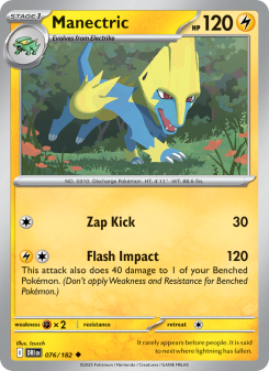 Manectric DRI 076