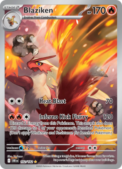 Blaziken DRI 192