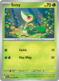 Snivy BLK 001