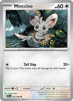 Minccino BLK 075