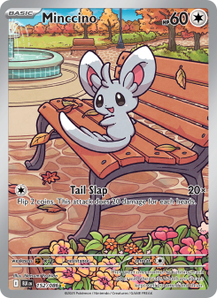 Minccino BLK 152