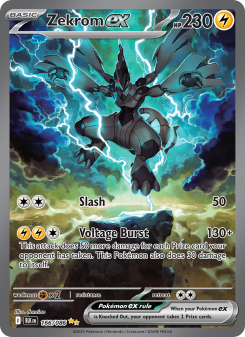 Zekrom ex BLK 166