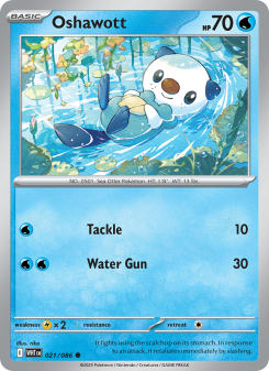 Oshawott WHT 021