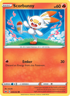 Scorbunny SSH 30
