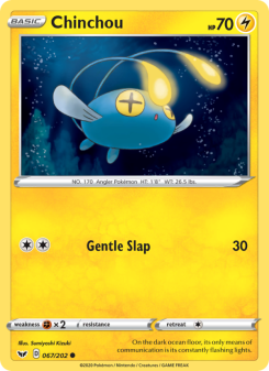 Chinchou SSH 67