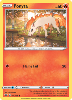 Ponyta ASR 021