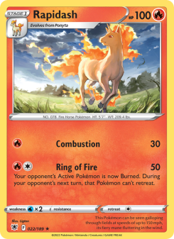 Rapidash ASR 022