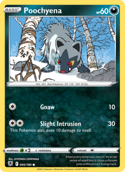 Poochyena ASR 095