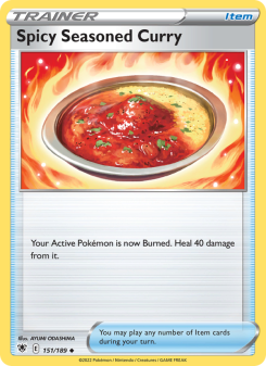 Spicy Seasoned Curry ASR 151