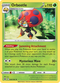 Orbeetle LOR 020