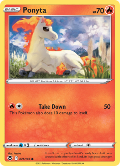 Ponyta SIT 021