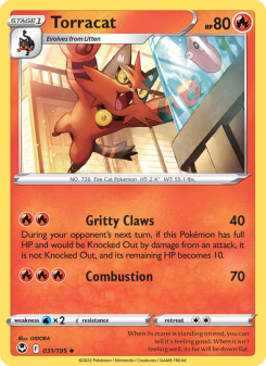 Torracat SIT 031