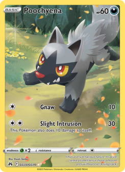 Poochyena CRZ GG33