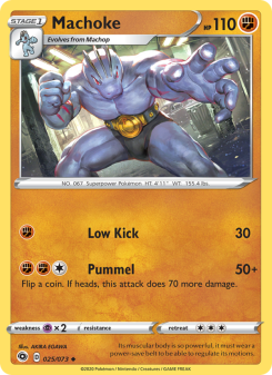 Machoke CPA 25