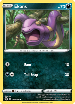 Ekans CPA 33