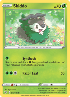 Skiddo VIV 17