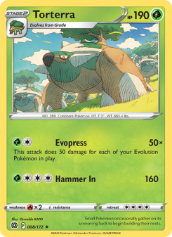Torterra BRS 008
