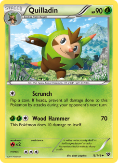 Quilladin XY 13
