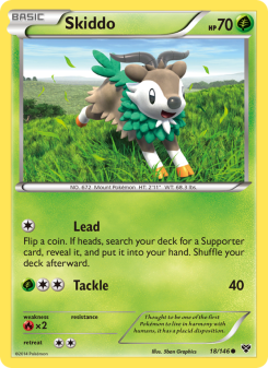 Skiddo XY 18