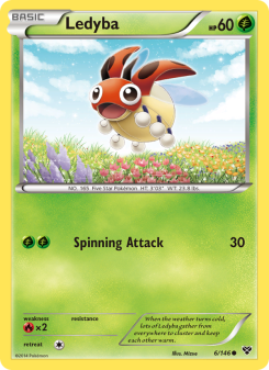 Ledyba XY 6