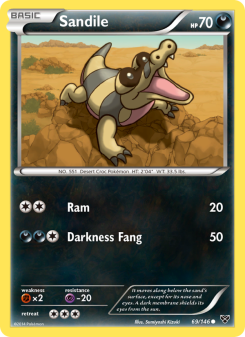 Sandile XY 69