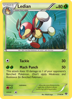 Ledian XY 7