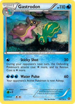 Gastrodon STS 29