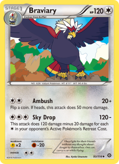 Braviary STS 93