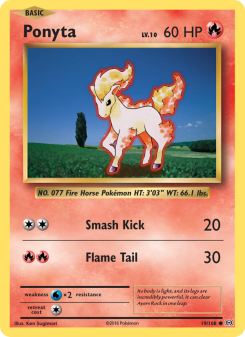 Ponyta EVO 19