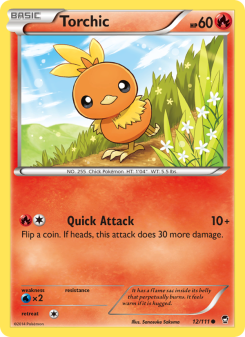 Torchic FFI 12