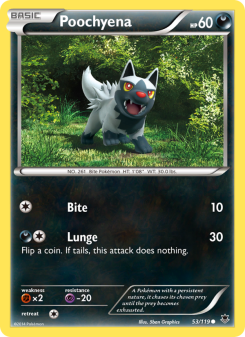 Poochyena PHF 53