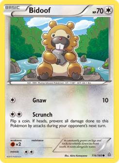 Bidoof PRC 116