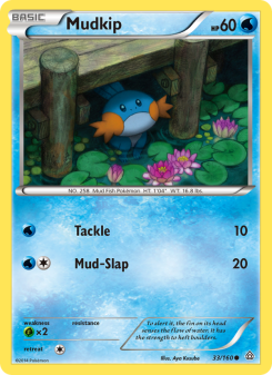 Mudkip PRC 33