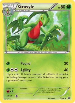 Grovyle PRC 7